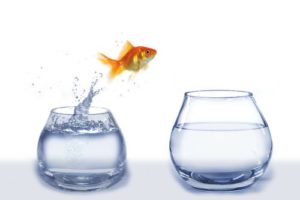 Eliminating unneccesary transitions