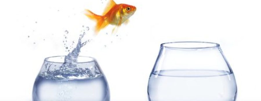 Eliminating unneccesary transitions