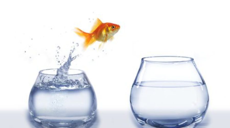 Eliminating unneccesary transitions