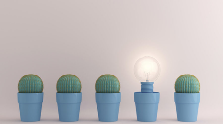 Leveraging Strengths.